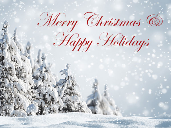 Auguri di buone feste da Amber Industries