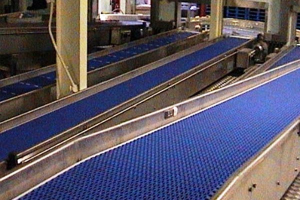 Trasportatori a nastro rettilinei livellati Level Straight Belt Conveyors